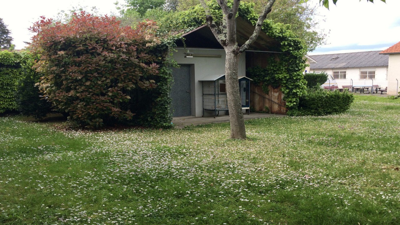 Arrière de la clinique